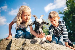 Agroturistika v jižních Čechách přitahuje návštěvníky z celé republiky