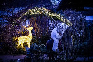 Tipy, kam vyrazit mezi svátky v jižních Čechách. Nudit se rozhodně nebudete!